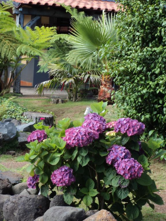 Santo Antonio da Serra Hotel Rural A Quinta מראה חיצוני תמונה